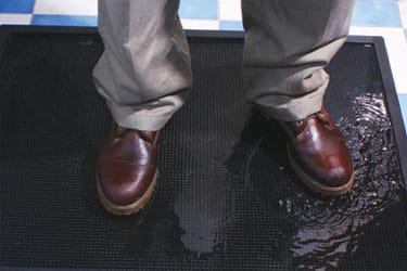 Tapetes Sanitarios