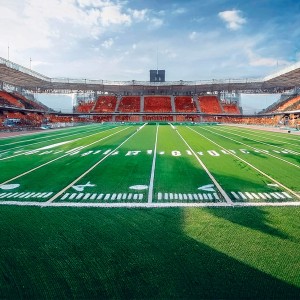 Pasto Deportivo para Soccer y Baseball y Fútbol Americano