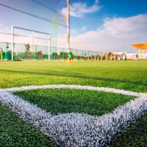 Pasto Deportivo para Futbol 7 y Baseball y Futbol Americano