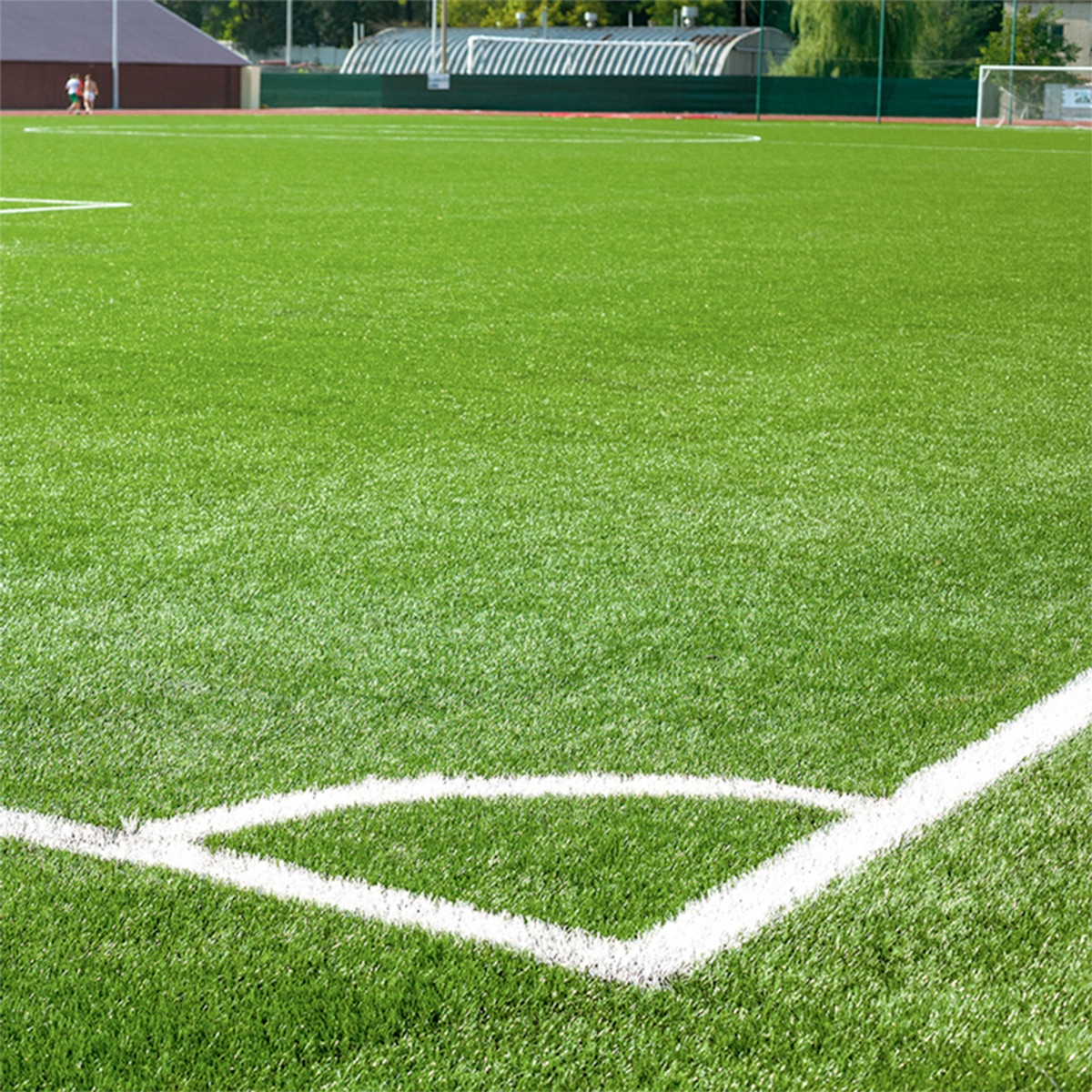 Pasto-futbol-profesional-1