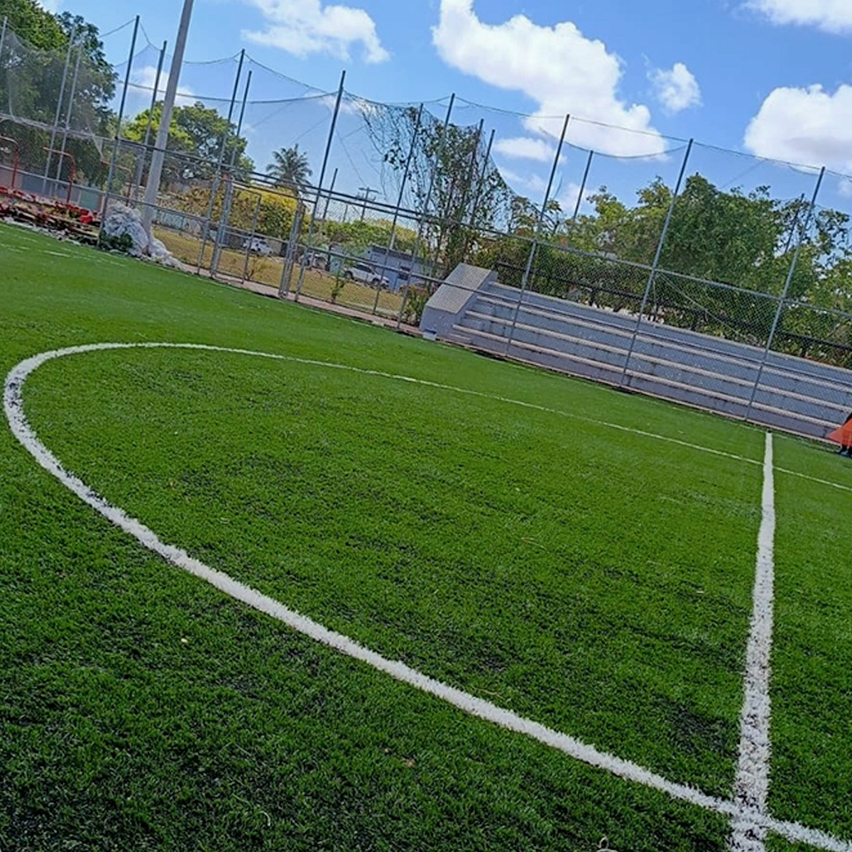 Pasto-futbol-profesional-10