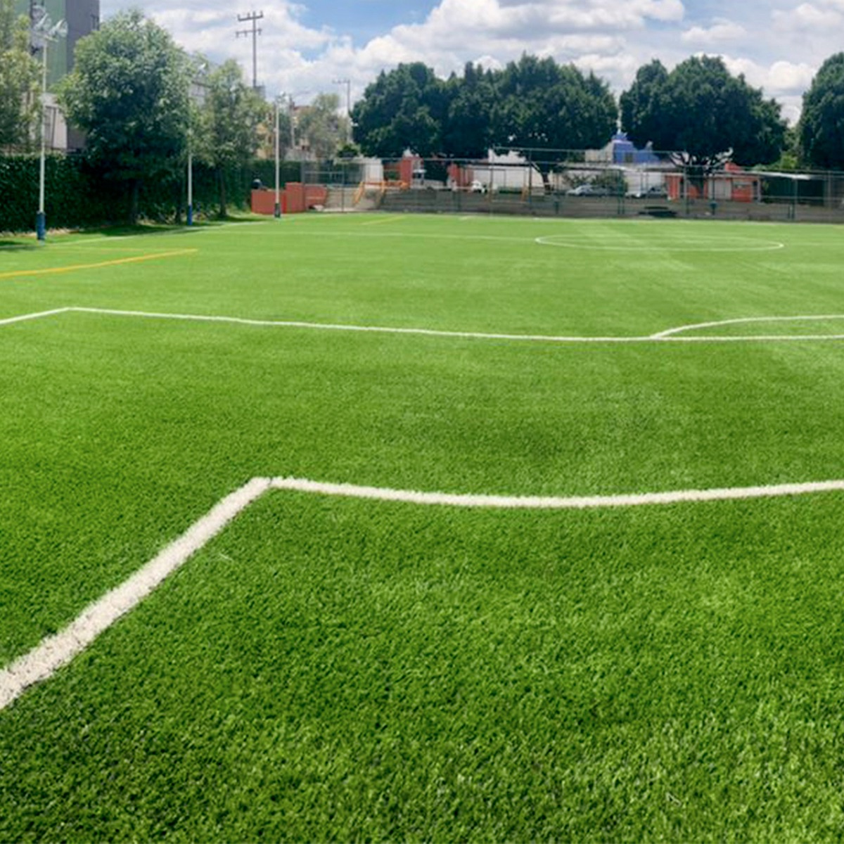 Pasto-futbol-profesional-12