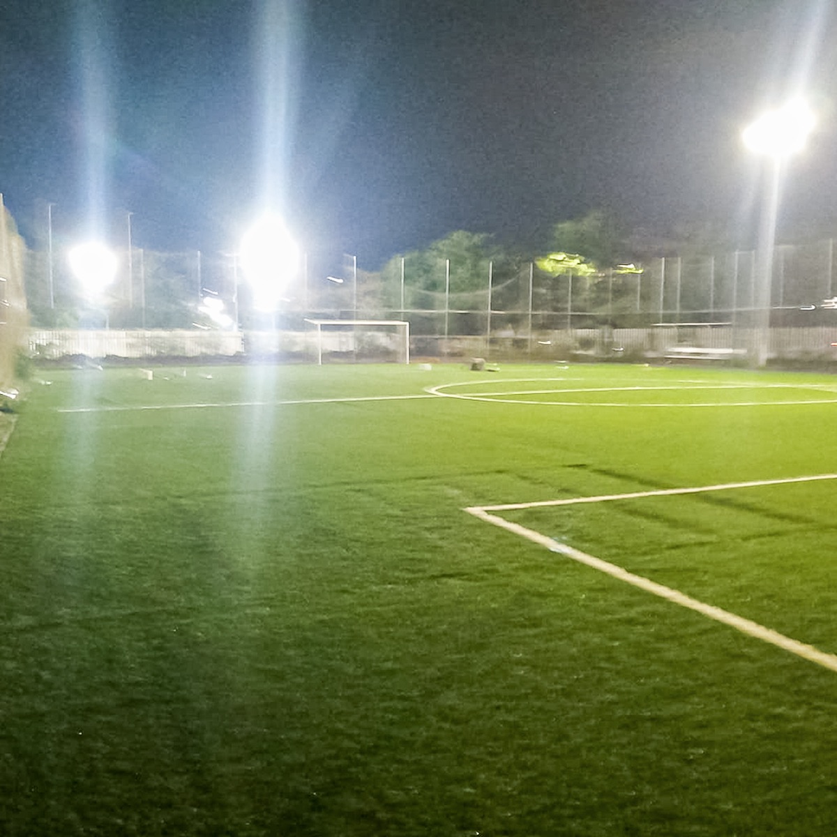 Pasto-futbol-profesional-2