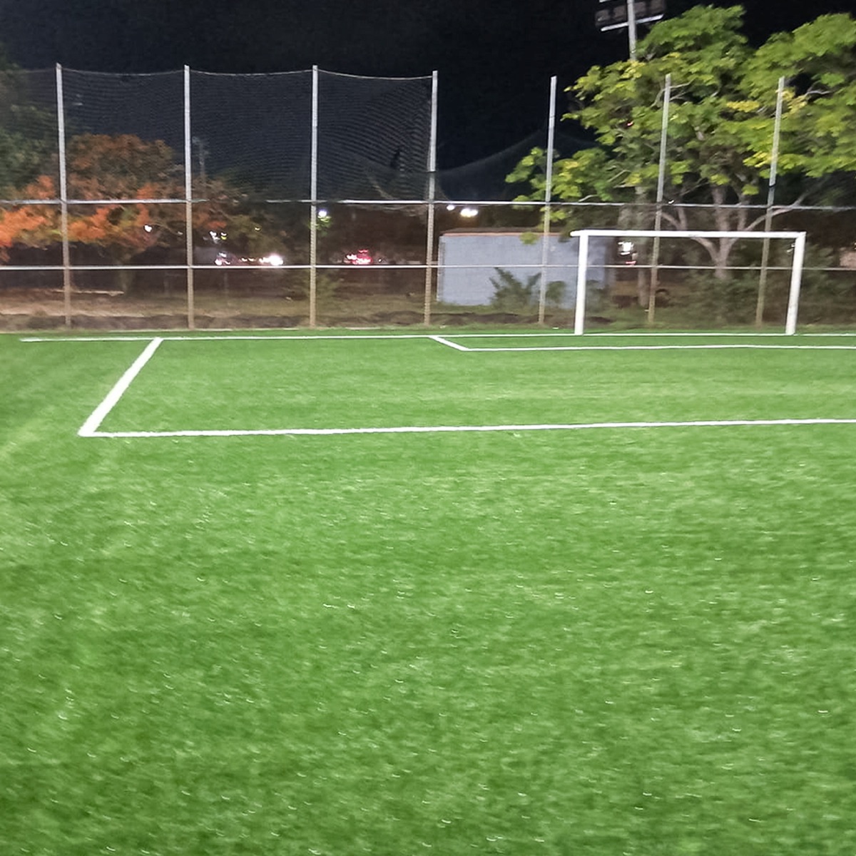 Pasto-futbol-profesional-4