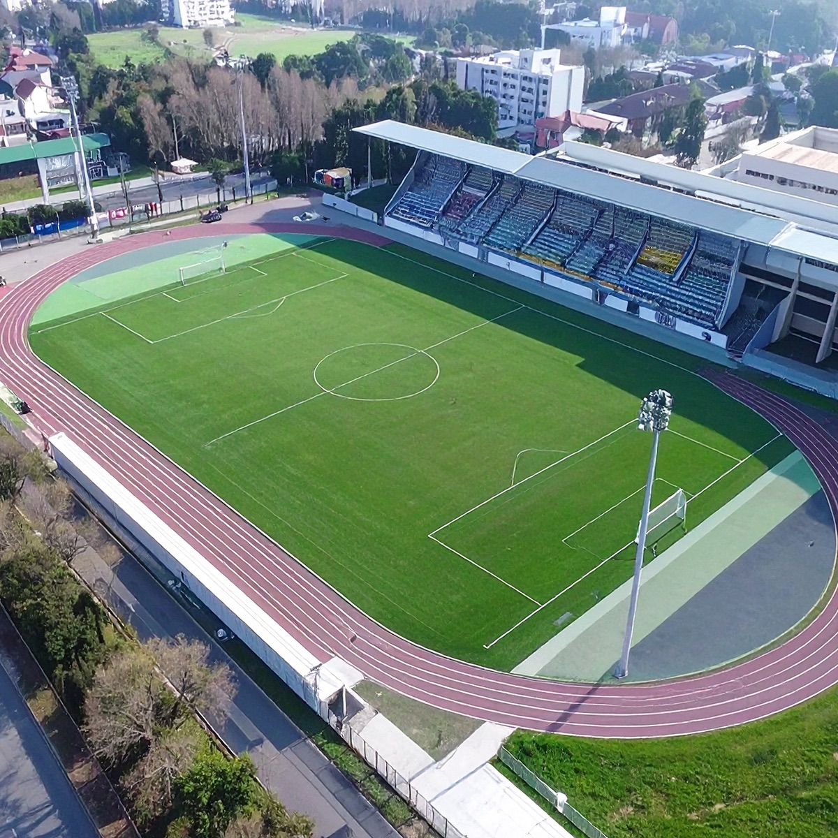 Pasto-futbol-profesional-5