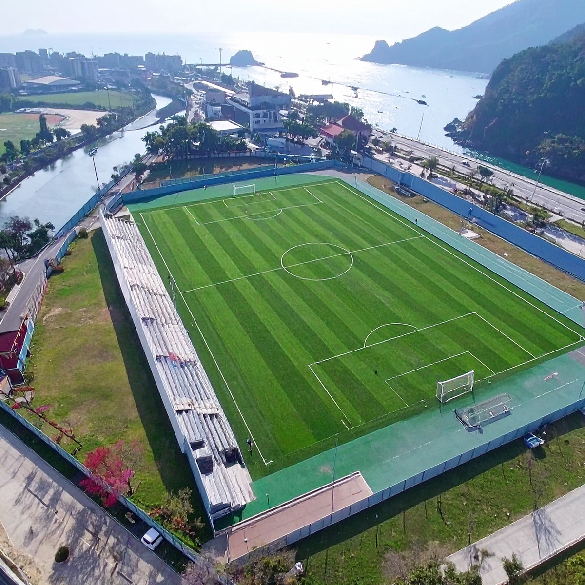Pasto-futbol-profesional-6