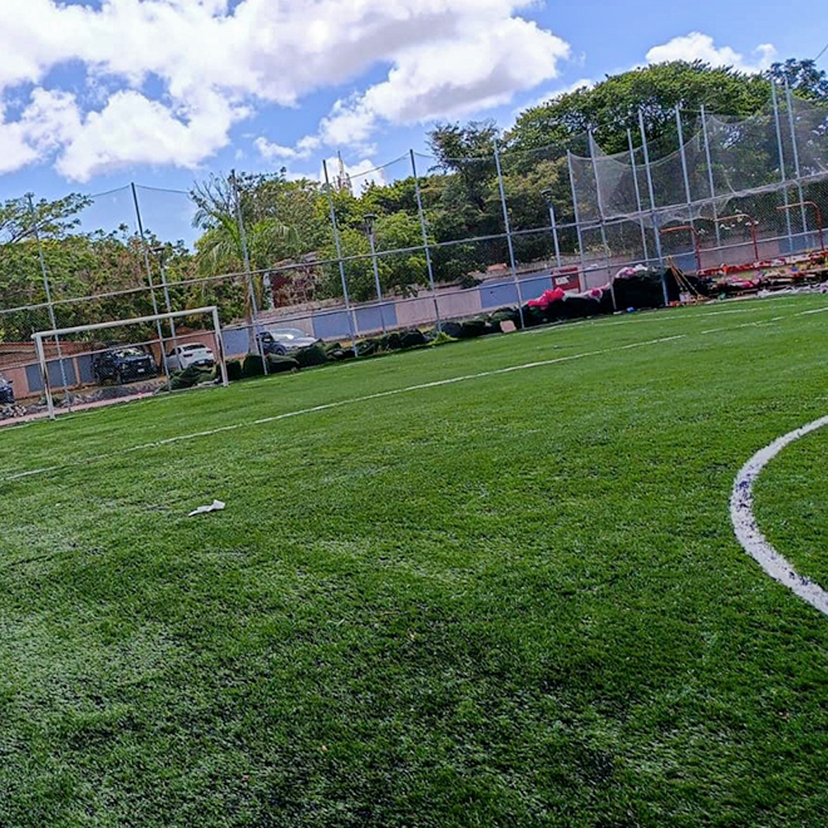 Pasto-futbol-profesional-8