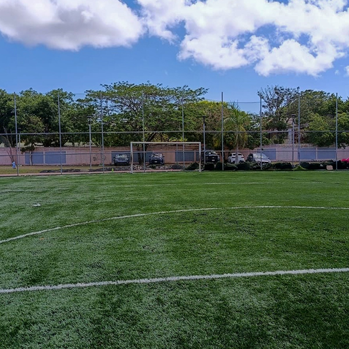 Pasto-futbol-profesional-9