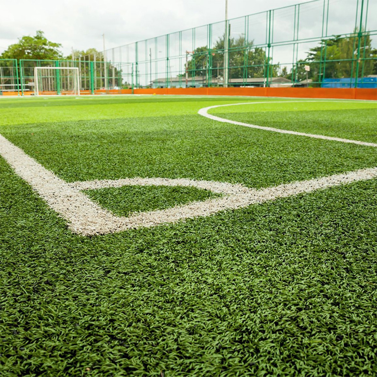 Pasto-para-futbol-10