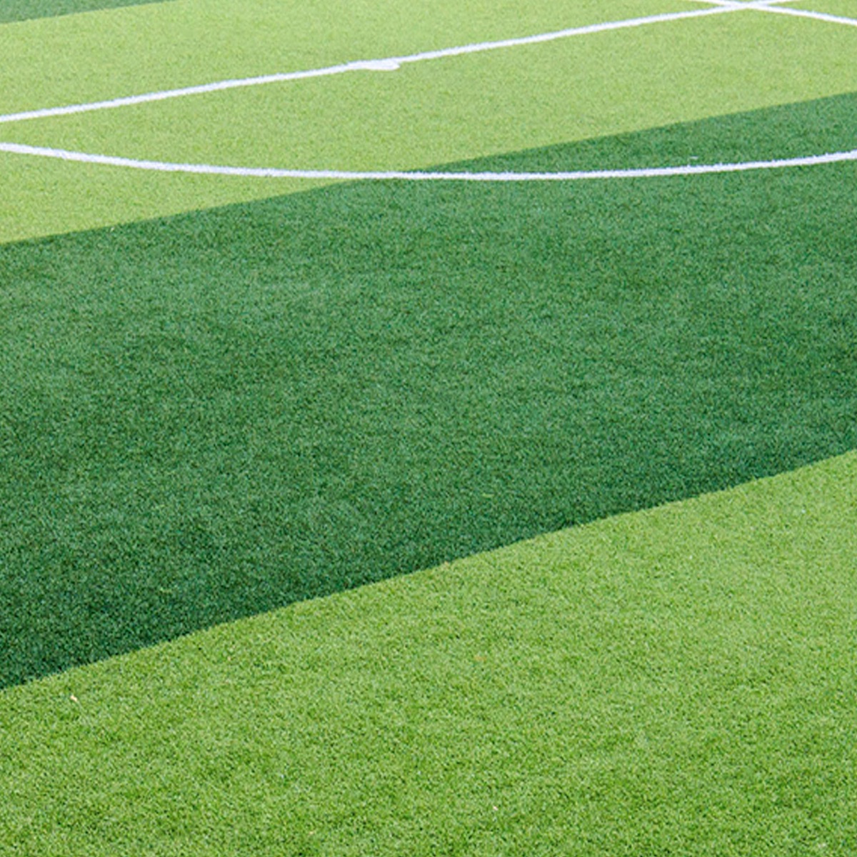 Pasto-para-futbol-13