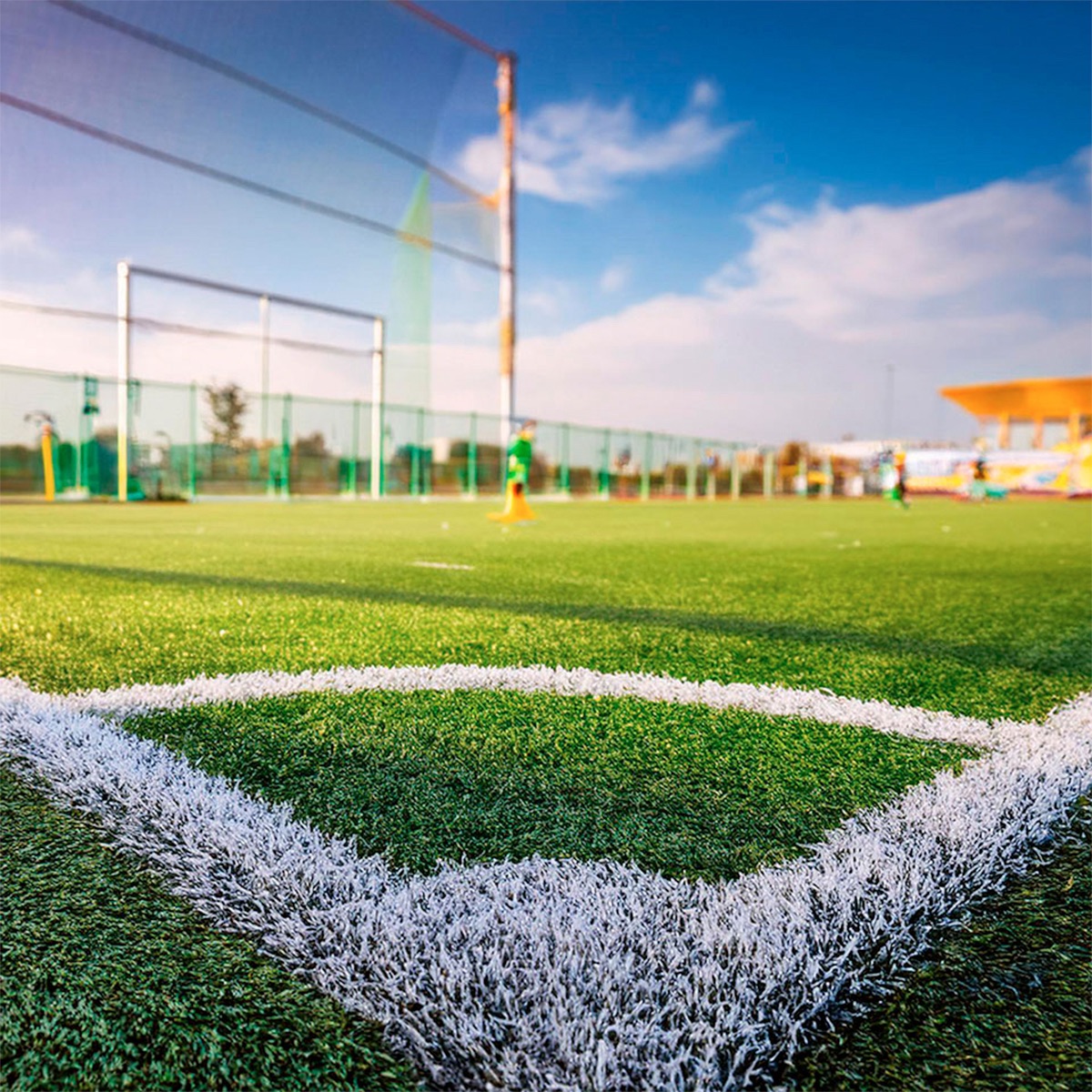 Pasto-para-futbol-9