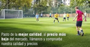 Pasto artificial